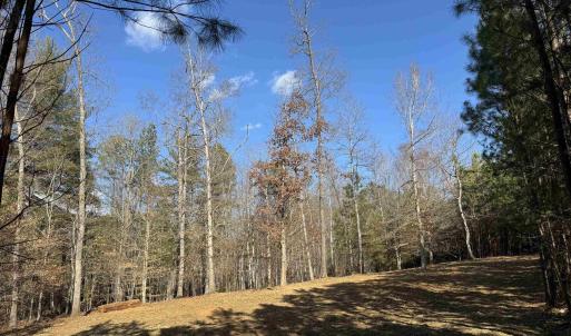 Photo #9 of 3860-2 GILBERT STATION RD, BARBOURSVILLE, VA 2.1 acres