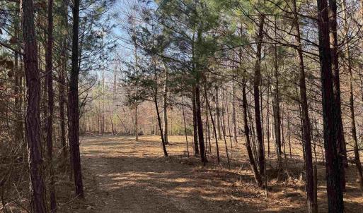 Photo #6 of 3860-2 GILBERT STATION RD, BARBOURSVILLE, VA 2.1 acres