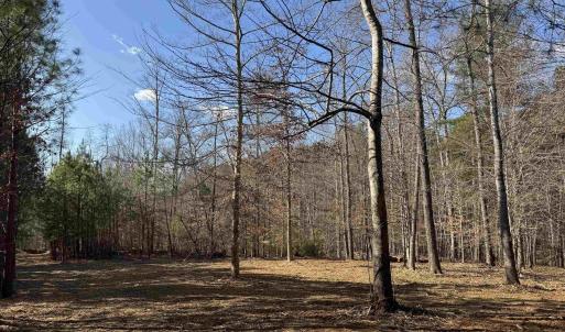 Photo #7 of 3860-2 GILBERT STATION RD, BARBOURSVILLE, VA 2.1 acres