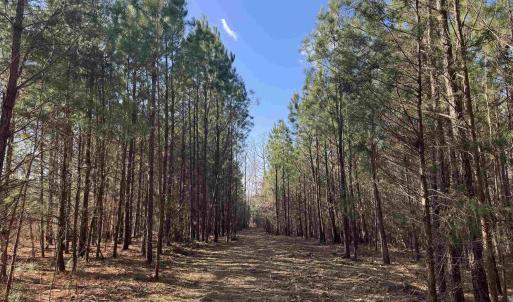 Photo #7 of 3860 GILBERT STATION RD, BARBOURSVILLE, VA 71.0 acres