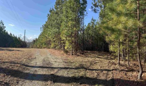 Photo #5 of 3860 GILBERT STATION RD, BARBOURSVILLE, VA 71.0 acres