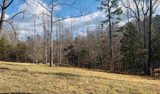Photo #4 of 3860 GILBERT STATION RD, BARBOURSVILLE, VA 71.0 acres