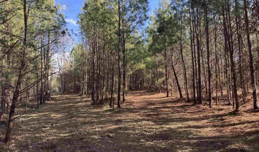 Photo #11 of 3860 GILBERT STATION RD, BARBOURSVILLE, VA 71.0 acres