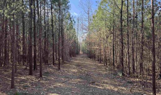 Photo #10 of 3860 GILBERT STATION RD, BARBOURSVILLE, VA 71.0 acres