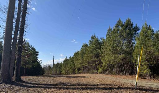 Photo #8 of 3860 GILBERT STATION RD, BARBOURSVILLE, VA 71.0 acres