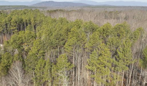 Photo #16 of 3860 GILBERT STATION RD, BARBOURSVILLE, VA 71.0 acres