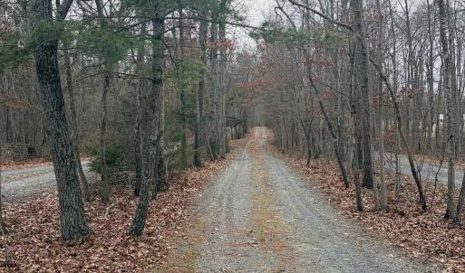 Photo #9 of 516 THOROFARE RD, CRIMORA, VA 3.8 acres