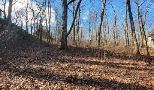 Photo #10 of 462 DEER SPRINGS LN, WINTERGREEN RESORT, VA 0.4 acres