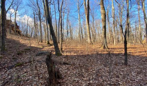 Photo #12 of 462 DEER SPRINGS LN, WINTERGREEN RESORT, VA 0.4 acres
