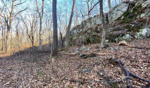 Photo #4 of 462 DEER SPRINGS LN, WINTERGREEN RESORT, VA 0.4 acres