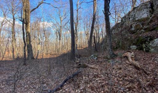 Photo #6 of 462 DEER SPRINGS LN, WINTERGREEN RESORT, VA 0.4 acres