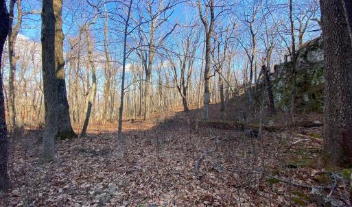 Photo #7 of 462 DEER SPRINGS LN, WINTERGREEN RESORT, VA 0.4 acres