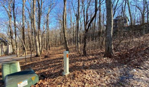 Photo #13 of 462 DEER SPRINGS LN, WINTERGREEN RESORT, VA 0.4 acres
