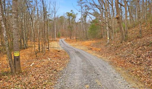 Photo #5 of 709 STULTZ GAP RD, EDINBURG, VA 43.3 acres