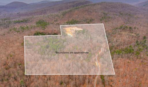 Photo #2 of 709 STULTZ GAP RD, EDINBURG, VA 43.3 acres