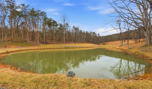 Photo #12 of 709 STULTZ GAP RD, EDINBURG, VA 43.3 acres