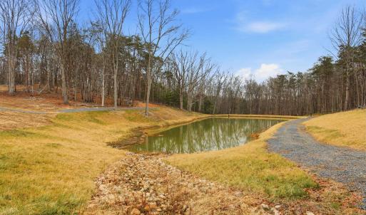 Photo #8 of 709 STULTZ GAP RD, EDINBURG, VA 43.3 acres