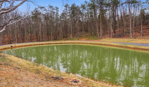 Photo #13 of 709 STULTZ GAP RD, EDINBURG, VA 43.3 acres