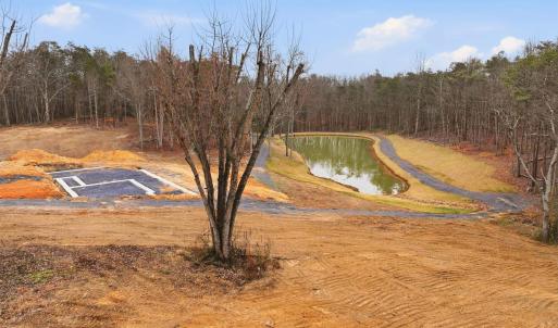 Photo #4 of 709 STULTZ GAP RD, EDINBURG, VA 43.3 acres