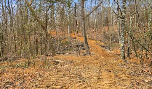Photo #6 of 709 STULTZ GAP RD, EDINBURG, VA 43.3 acres