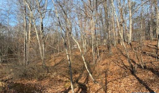 Photo #6 of GLEN EAGLES DR, GORDONSVILLE, VA 0.4 acres