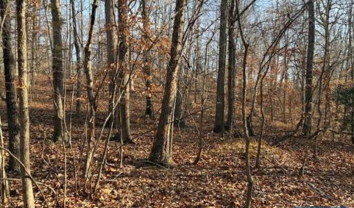 Photo #4 of GLEN EAGLES DR, GORDONSVILLE, VA 0.4 acres