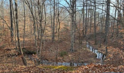 Photo #1 of GLEN EAGLES DR, GORDONSVILLE, VA 0.5 acres