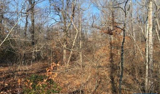 Photo #6 of GLEN EAGLES DR, GORDONSVILLE, VA 0.5 acres