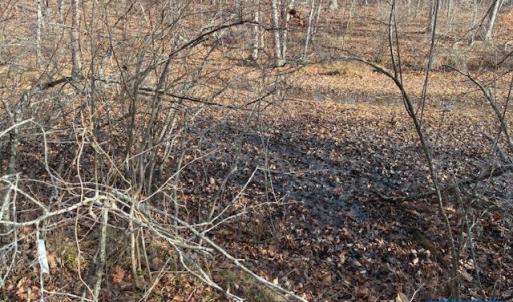 Photo #5 of GLEN EAGLES DR, GORDONSVILLE, VA 0.5 acres