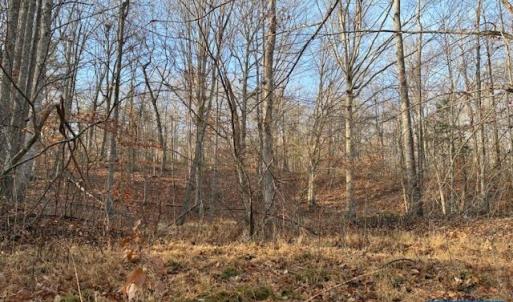 Photo #4 of GLEN EAGLES DR, GORDONSVILLE, VA 0.5 acres