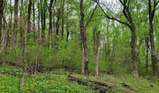 Photo #3 of GAYLE LN, FRONT ROYAL, VA 0.9 acres