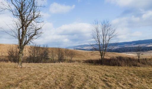 Photo #15 of tbd BLUE GRASS VALLEY RD, MONTEREY, VA 75.0 acres