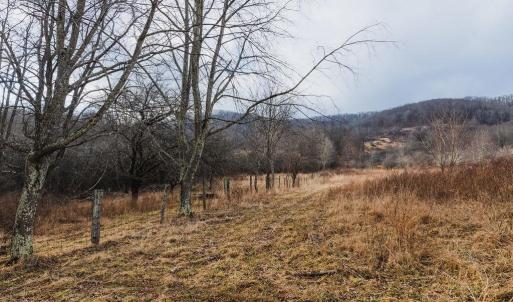 Photo #12 of tbd BLUE GRASS VALLEY RD, MONTEREY, VA 75.0 acres