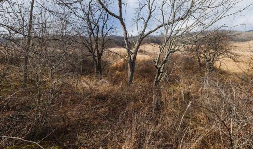 Photo #18 of tbd BLUE GRASS VALLEY RD, MONTEREY, VA 75.0 acres