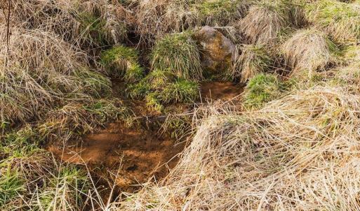 Photo #8 of tbd BLUE GRASS VALLEY RD, MONTEREY, VA 75.0 acres