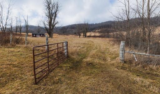Photo #4 of tbd BLUE GRASS VALLEY RD, MONTEREY, VA 75.0 acres