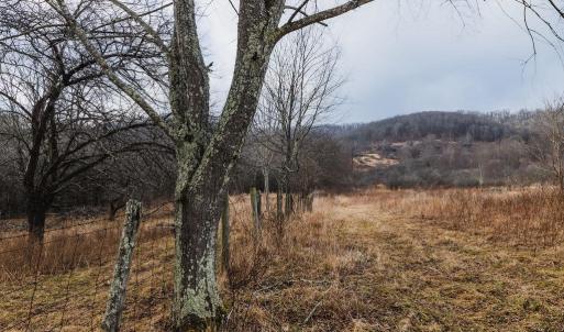 Photo #13 of tbd BLUE GRASS VALLEY RD, MONTEREY, VA 75.0 acres
