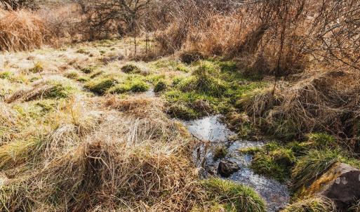 Photo #7 of tbd BLUE GRASS VALLEY RD, MONTEREY, VA 75.0 acres