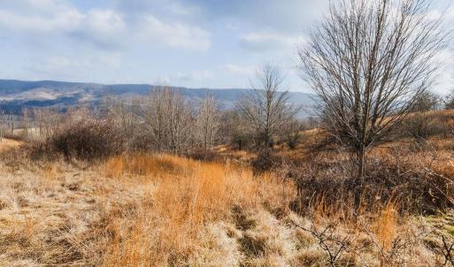 Photo #9 of tbd BLUE GRASS VALLEY RD, MONTEREY, VA 75.0 acres