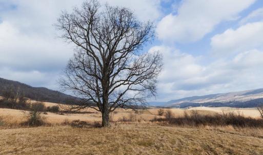 Photo #5 of tbd BLUE GRASS VALLEY RD, MONTEREY, VA 75.0 acres