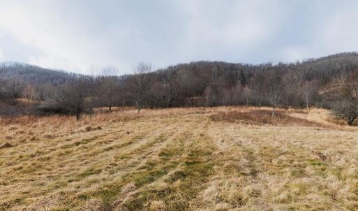 Photo #6 of tbd BLUE GRASS VALLEY RD, MONTEREY, VA 75.0 acres