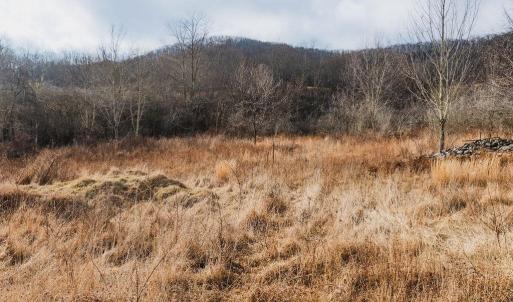 Photo #11 of tbd BLUE GRASS VALLEY RD, MONTEREY, VA 75.0 acres
