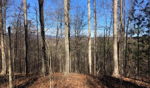 Photo #11 of BATESVILLE RD, AFTON, VA 120.1 acres