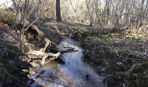 Photo #4 of BATESVILLE RD, AFTON, VA 120.1 acres