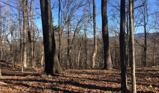 Photo #3 of BATESVILLE RD, AFTON, VA 120.1 acres