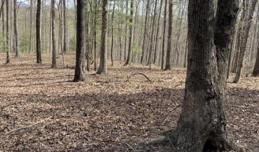 Photo #8 of BATESVILLE RD, AFTON, VA 120.1 acres