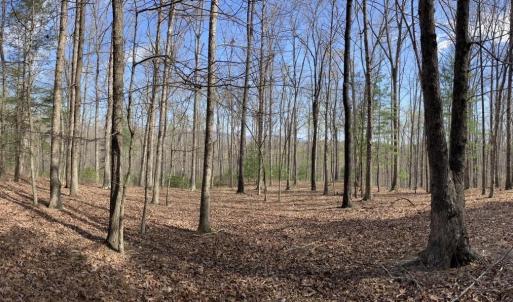 Photo #6 of BATESVILLE RD, AFTON, VA 120.1 acres
