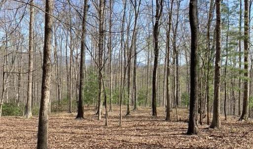 Photo #7 of BATESVILLE RD, AFTON, VA 120.1 acres