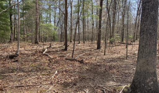 Photo #5 of BATESVILLE RD, AFTON, VA 120.1 acres