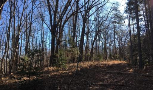 Photo #2 of BATESVILLE RD, AFTON, VA 120.1 acres